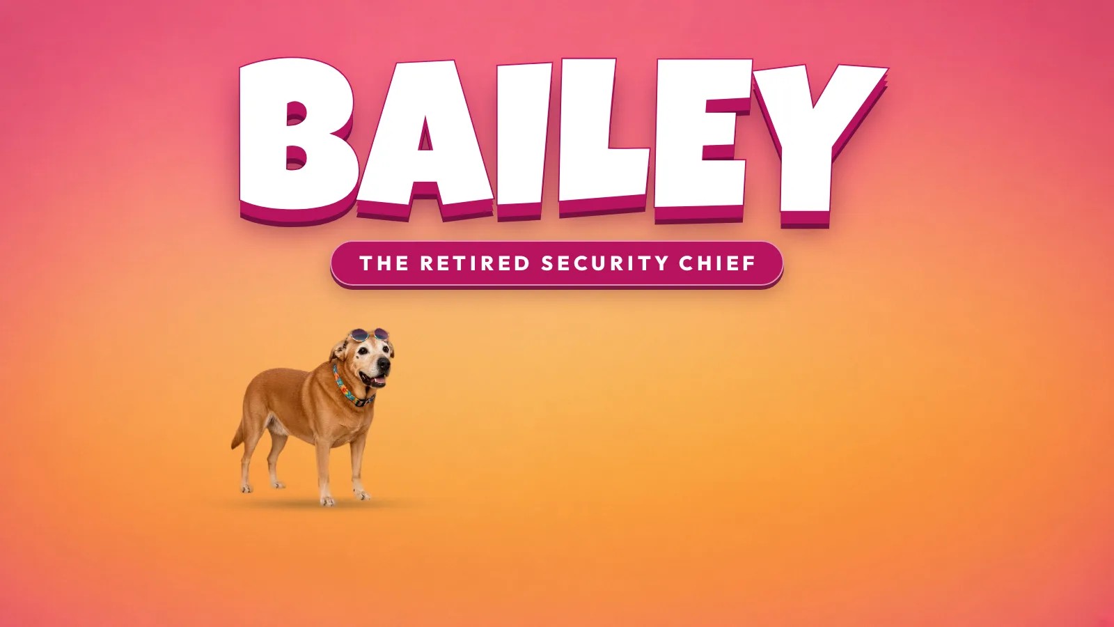 Bailey, the senior golden dog, walking across a pink-to-orange gradient under the title BAILEY, The Retired Security Chief